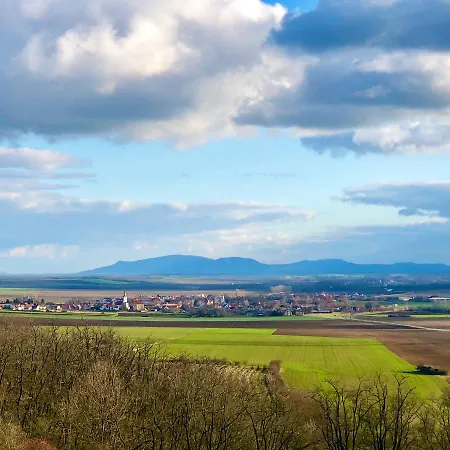 펜션 Dum U Slunce A Vina Olbramovice (Znojmo)