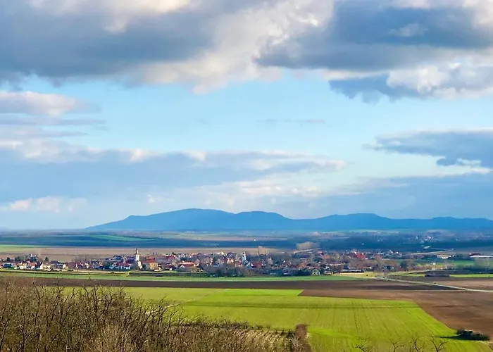 펜션 Dum U Slunce A Vina Olbramovice (Znojmo)